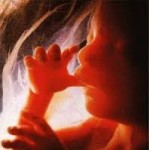 feto si alla vita.jpg